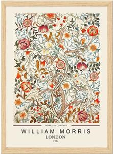 Plakat z okvirjem 35x45 cm William Morris – Wallity