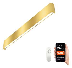 Immax NEO 07137-G - LED SMART Zatemnitvena svetilka LINEA LED/40W/230V + Daljinski upravljalnik 76 cm