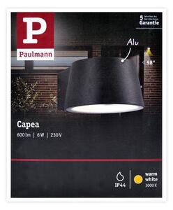 Paulmann 94452 - LED/6W IP44 Zunanja stenska svetilka CAPEA 230V