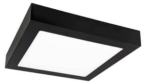 LED Stropna svetilka FENIX LED/12W/230V 2800K 17 cm