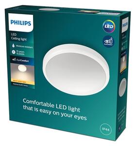 Philips - LED Kopalniška stropna svetilka BALANCE LED/17W/230V IP44