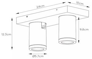 Lucide 09930/10/31 - LED Zatemnitveni reflektor TAYLOR 2xGU10/5W/230V IP44