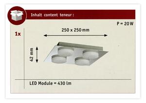 Paulmann 70875 - 4xLED/5W IP23 Kopalniška stropna svetilka DORADUS 230V