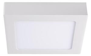 Kanlux 33550 - LED Stropna svetilka KANTI LED/12W/230V 3000K bela