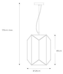 Lucide 25407/01/30 - Lestenec na vrvici FERN 1xE27/60W/230V