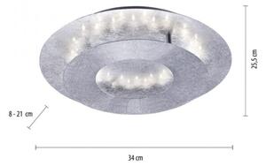 Paul Neuhaus 9011-21 - LED Stropna svetilka NEVIS LED/6W/230V srebrna