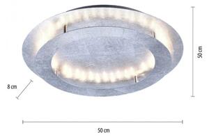 Paul Neuhaus 9621-21 - LED Stropna svetilka NEVIS LED/24W/230V