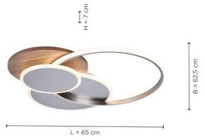 Paul Neuhaus 8328-79 - LED Zatemnitvena stropna svetilka PALMA LED/50W/230V + Daljinski upravljalnik