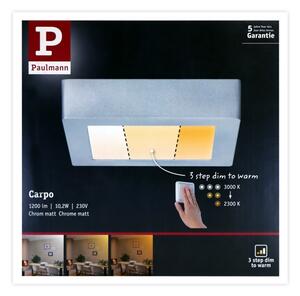 Paulmann 79791 - LED/10,2W Stropna svetilka CARPO 230V 2300-3000K