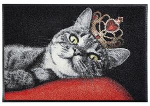 PREDPRAŽNIK Royal Cat 50/75 cm rdeča, črna