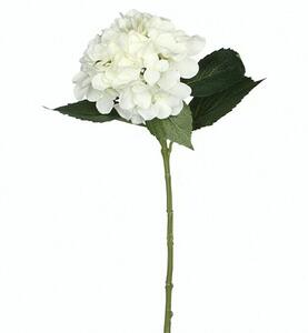 Umetna roža hortenzija (Višina: 51 cm, Blanca, Plastika)