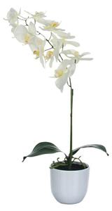 Umetna roža Phalaenopsis (Višina: 60 cm, Bela, Plastika)