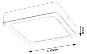 Rabalux 3176 - LED stropna svetilka SHAUN LED/24W/230V 22 cm