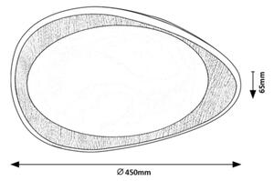 Rabalux 2427 - LED stropna svetilka TAMINO LED/24W/230V