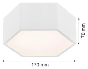 Argon 3828 - LED stropna svetilka ARIZONA LED/9W/230V bela