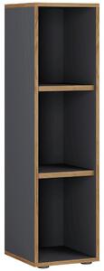 P & B Pisarniški Regal Salia B30, Antracit, Barva Hrasta