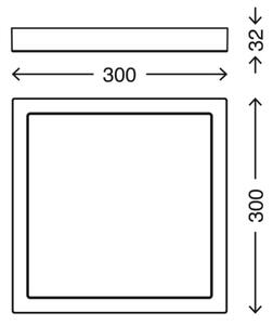 Briloner 3142-018 - LED Kopalniška stropna svetilka LED/21W/230V IP44