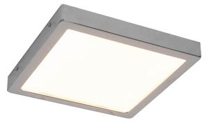 Briloner 3142-018 - LED Kopalniška stropna svetilka LED/21W/230V IP44