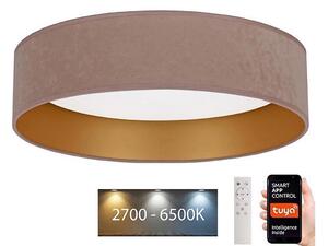 Brilagi - LED Zatemnitvena svetilka VELVET SMART LED/24W/230V Wi-Fi Tuya + Daljinski upravljalnik