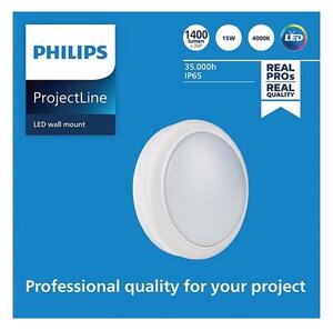 Philips - LED Stenska svetilka PROJECTLINE LED/15W/230V IP65