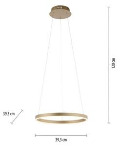 Leuchten Direkt 15393-60 - LED Zatemnitveni lestenec na vrvici RITUS LED/20W/230V