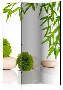 PARAVAN 135/172/3 cm zelena, bela