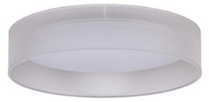 Duolla - LED Stropna svetilka ROLLER LED/24W/230V svetlo siva