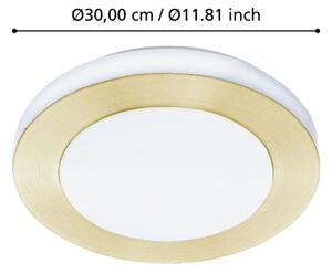 Eglo 900369 - LED Kopalniška stropna svetilka CARPI LED/10,8W/230V IP44