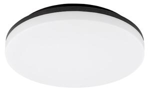 Rabalux 7265 - LED Kopalniška stropna svetilka PERNIK LED/24W/230V IP54