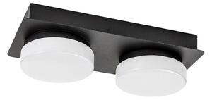 Rabalux 75002 - LED Kopalniška stropna svetilka ATTICHUS 2xLED/5,5W/230V IP44