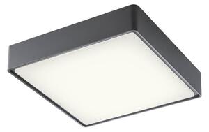 Redo 90158 - LED Zunanja stropna svetilka MARINA LED/16W/230V IP65 antracit