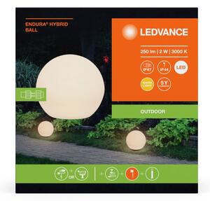 Ledvance - LED Zunanja svetilka BALL LED/2W/12V IP44