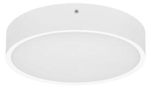 Ecolite WMAT300-15W/BI - LED Stropna svetilka MARTIN LED/15W/230V IP65 bela