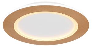 STROPNA LED-SVETILKA CLAY 2700+6500 K 230 V
