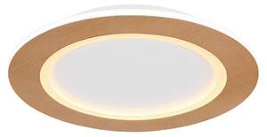 Globo Stropna Led-svetilka Clay, S Sijalko