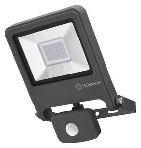 Ledvance - LED Reflektor ENDURA s senzorjem LED/10W/230V IP44