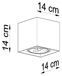 Reflektor VALDE 1xGU10/40W/230V