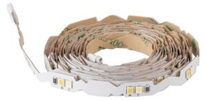 Eglo 99684 - LED Zatemnitveni trak 3m STRIPE-Z LED/13,5W/24V 2700-6500K