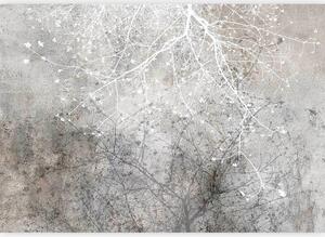 Artgeist Fototapeta Clear Branching, 100x70cm