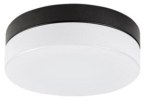 Rabalux 75025-LED Kopalniška stropna svetilka GAELO LED/15W/230V pr. 23 cm črna