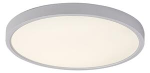 Rabalux 71073 - LED Stropna svetilka PAULOS LED/24W/230V 4000K pr. 30 cm bela