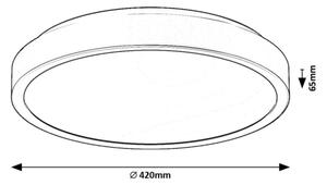 Rabalux 71259 - LED Kopalniška stropna svetilka SAMIRA LED/48W/230V IP44 bela