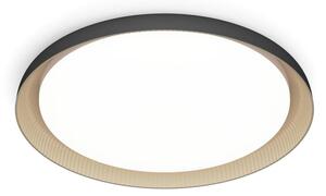 Philips - LED Zatemnitvena stropna svetilka PEBBLO LED/10W/230V 4000K črna