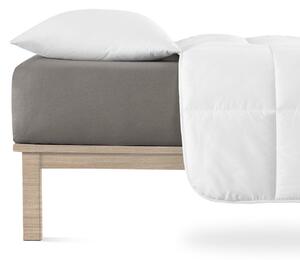 Temno siva napenjalna rjuha iz jerseyja 90x200 cm Boxspring – Andrea Simone