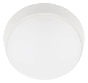 LED Zunanja stropna svetilka LED/12W/230V IP65 bela