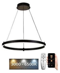 Brilagi - LED Zatemnitveni lestenec na vrvici CIRCLE LED/85W/230V 3000-6500K črna + Daljinski upravljalnik