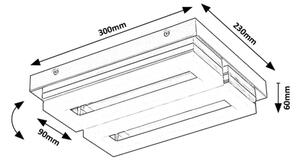 Rabalux 75020 - LED Kopalniška stropna svetilka BLAS LED/24W/230V 4000K