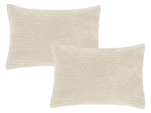 Prevleke za blazino v kompletu 2 ks 50x75 cm Attica Velvet Embroidered – Bianca