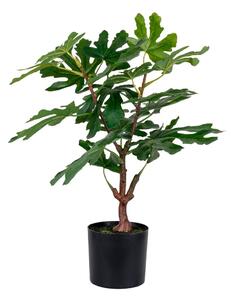 Umetna rastlina (višina 60 cm) Fig – House Nordic