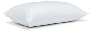 Polnilo za blazino iz spominske pene 48x74 cm Luxury Multi Relax – Catherine Lansfield